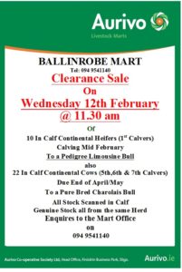 just eat ballinrobe